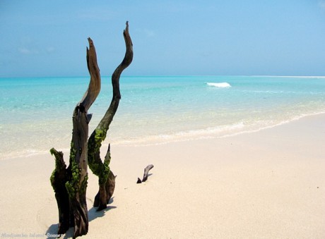 beaches-mozambique-medjumbe-island-deserted-beach-rani-resorts-b
