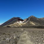 Un mes de mochilero en Nueva Zelanda en bus: Isla Norte (II)