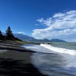 Mochilero en Nueva Zelanda en bus (III): Kaikoura-Christchurch-Arthur’s Pass