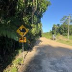 Road Trip costa este de Australia (I): Cairns-Mission Beach