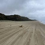 Road Trip costa este de Australia (III): Agnes Waters-Fraser Island-Noosa
